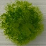 Ícone de conversão de texto em fala