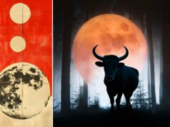 Estes 4 signos do zodíaco serão mais afetados pela Lua Cheia em Touro Estes 4 signos do zodíaco serão mais afetados pela Lua Cheia em Touro