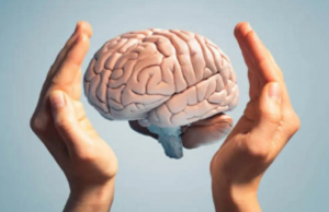 Estudo revela que atividade física pode reduzir risco de demência em 45% Estudo revela que atividade física pode reduzir risco de demência em 45%