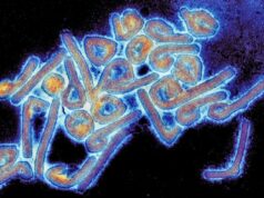 Etiópia confirma surto do vírus mortal Marburg: África CDC Vírus de Marburgo
