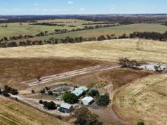 Excelente exploração agrícola e pecuária de sequeiro para venda | Fotos Excelente exploração agrícola e pecuária de sequeiro para venda | Fotos