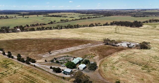 Excelente exploração agrícola e pecuária de sequeiro para venda | Fotos
