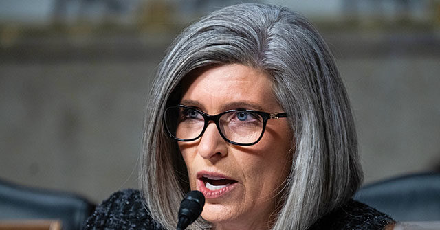 Exclusivo: o senador Joni Ernst propõe interromper as concessões sem Exclusivo: o senador Joni Ernst propõe interromper as concessões sem licitação após centenas de milhões pagos em esquemas de suborno contratual da SBA