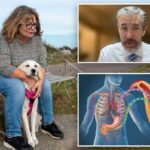 Família de Ohio afirma que cachorro detecta quedas mortais de açúcar no sangue em pacientes com diabetes antes de dispositivos médicos