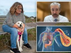 Família de Ohio afirma que cachorro detecta quedas mortais de açúcar no sangue em pacientes com diabetes antes de dispositivos médicos Família de Ohio afirma que cachorro detecta quedas mortais de açúcar no sangue em pacientes com diabetes antes de dispositivos médicos