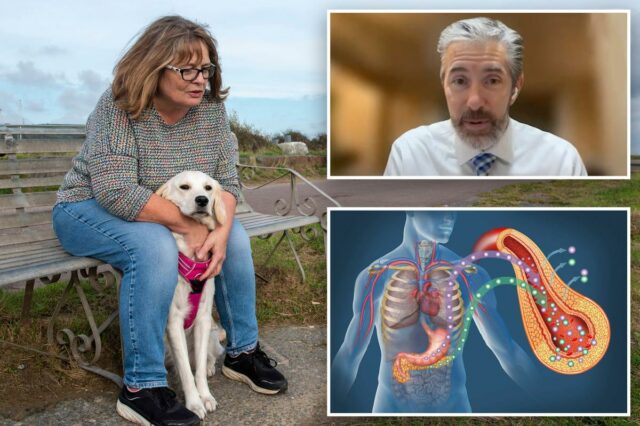 Família de Ohio afirma que cachorro detecta quedas mortais de açúcar no sangue em pacientes com diabetes antes de dispositivos médicos
