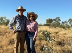Fazendo com que cada hectare conte, desafiando as normas tradicionais em Pilbara Fazendo com que cada hectare conte, desafiando as normas tradicionais em Pilbara