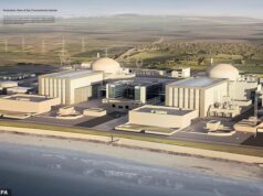 Fiasco suspeito… Os esquemas de £ 700 milhões da usina nuclear para proteger a vida marinha incluem ‘discotecas de peixes’ – mas, apesar do custo exorbitante, salvaria apenas UM salmão a cada 12 anos Hinkley Point C, em Somerset, foi proposto pela primeira vez em 1982 e, após anos de paralisia, recebeu luz verde dos conservadores em 2022 (foto: impressão artística da planta)