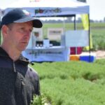 Fim do jogo: safra inesperada com penalidade de rendimento de 30% conquistando participação de mercado