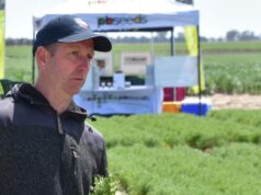 Fim do jogo: safra inesperada com penalidade de rendimento de 30% conquistando participação de mercado Fim do jogo: safra inesperada com penalidade de rendimento de 30% conquistando participação de mercado