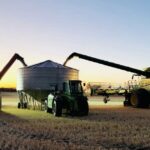 Forte atividade à medida que números recordes atingem toda a rede cooperativa