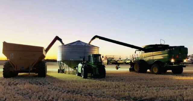 Forte atividade à medida que números recordes atingem toda a rede cooperativa
