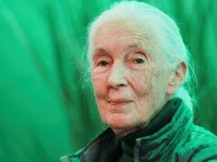 Funeral da conservacionista de renome mundial Jane Goodall Funeral da conservacionista de renome mundial Jane Goodall