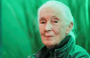 Funeral da conservacionista de renome mundial Jane Goodall Funeral da conservacionista de renome mundial Jane Goodall
