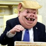 Gavin Newsom assa 'Piggy' Trump em uma enxurrada de memes gerados por IA depois que o presidente ataca uma jornalista