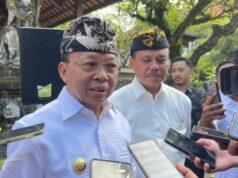 Governador de Bali ordena que a construção de elevadores nas falésias da praia de Kelingking seja interrompida Governador de Bali ordena que a construção de elevadores nas falésias da praia de Kelingking seja interrompida