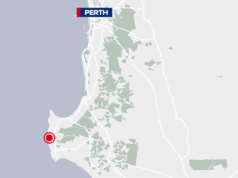 Grande Tubarão Branco derruba piloto de foilboard na praia de WA Grande Tubarão Branco derruba piloto de foilboard na praia de WA