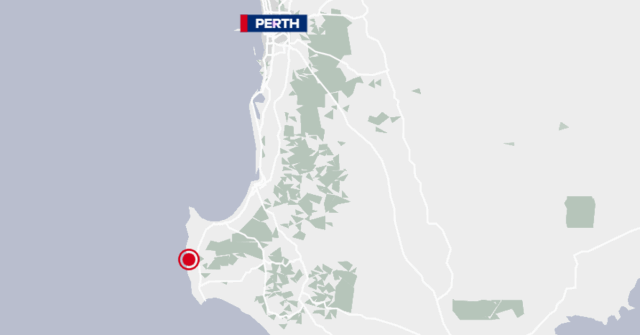 Grande Tubarão Branco derruba piloto de foilboard na praia de WA
