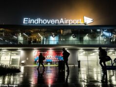 Grande aeroporto europeu interrompe voos após vários avistamentos de drones em meio a temores de incursões russas Em uma postagem no X esta noite, Ruben Brekelmans, o ministro da Defesa, disse que os avistamentos levaram à suspensão do tráfego aéreo civil e militar.