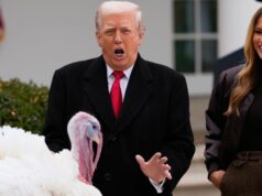 ‘Grande e gordo desleixado’: penas voam enquanto Trump perdoa perus no Dia de Ação de Graças 'Grande e gordo desleixado': penas voam enquanto Trump perdoa perus no Dia de Ação de Graças