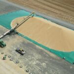 Grãos no bunker aumentam a conveniência e reduzem dores de cabeça na colheita