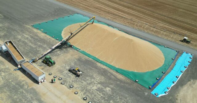 Grãos no bunker aumentam a conveniência e reduzem dores de cabeça na colheita
