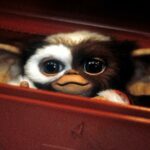 'Gremlins 3' é real: Steven Spielberg e Chris Columbus se reunindo para o filme Mogwai de 2027
