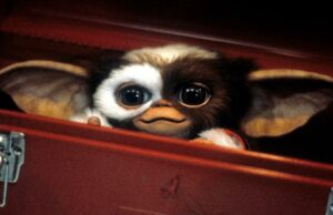 ‘Gremlins 3’ é real: Steven Spielberg e Chris Columbus se reunindo para o filme Mogwai de 2027 'Gremlins 3' é real: Steven Spielberg e Chris Columbus se reunindo para o filme Mogwai de 2027