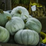 Grupo de jovens convida todos os jovens agricultores para celebrar o Dia Nacional da Agricultura