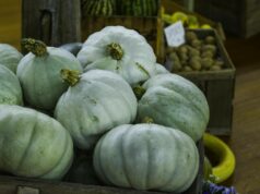Grupo de jovens convida todos os jovens agricultores para celebrar o Dia Nacional da Agricultura Grupo de jovens convida todos os jovens agricultores para celebrar o Dia Nacional da Agricultura