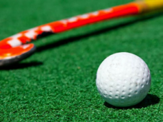 HI anuncia a seleção da Índia para a Copa do Mundo de Hóquei Júnior Feminino da FIH de 2025 HI anuncia a seleção da Índia para a Copa do Mundo de Hóquei Júnior Feminino da FIH de 2025