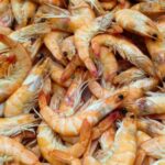 Haverá um certificado especial para camarão exportado pela Indonésia que esteja livre de radiação radioativa