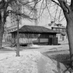 Hoje na História: 11 de novembro, 'Maria Tifóide' morre