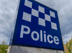 Homem acusado após galgos morrerem em armário de bicicletas em Sydney policial genérico