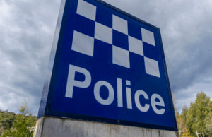 Homem acusado após galgos morrerem em armário de bicicletas em Sydney policial genérico