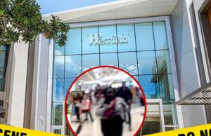 Homem armado atira em três pessoas dentro do California Mall, vídeo mostra as consequências Westfield Valley Fair Mall facebook getty tiktok composto