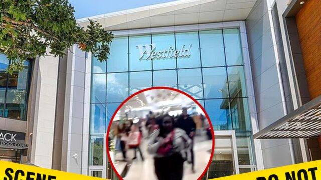 Homem armado atira em três pessoas dentro do California Mall, Westfield Valley Fair Mall facebook getty tiktok composto