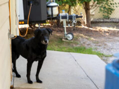 Homem captura imagens chocantes após encontrar visitante inesperado na garagem: ‘Essa é nova’ Yahoo news home