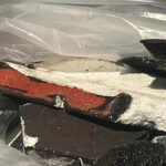 Um homem que estava de férias nas Ilhas Turks e Caicos recentemente encontrou o que ele diz serem fragmentos da Starship 7 da SpaceX.