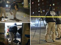 Homem de 24 anos baleado na cabeça e morto em frente a prédio em Nova York Homem de 24 anos baleado na cabeça e morto em frente a prédio em Nova York