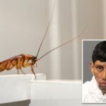 Foto de Alexis Hernandez.