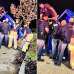 Equipes de emergência da Delegacia 4 do condado de Harris no local em Houston em 24 de novembro.