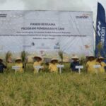 Incentivando a segurança alimentar nacional, o Banco Mandiri ajuda os agricultores de Kebumen a evitar falhas na colheita
