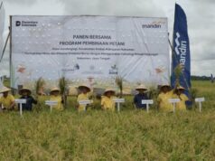 Incentivando a segurança alimentar nacional, o Banco Mandiri ajuda os agricultores de Kebumen a evitar falhas na colheita Incentivando a segurança alimentar nacional, o Banco Mandiri ajuda os agricultores de Kebumen a evitar falhas na colheita