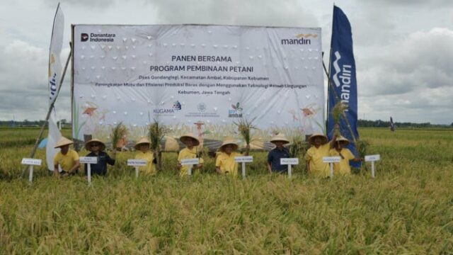 Incentivando a segurança alimentar nacional, o Banco Mandiri ajuda os Incentivando a segurança alimentar nacional, o Banco Mandiri ajuda os agricultores de Kebumen a evitar falhas na colheita
