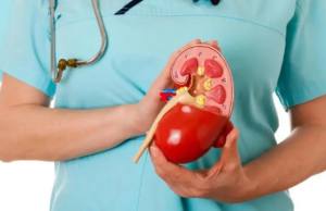 Índia ocupa o segundo lugar mundial em casos de doença renal crônica, diz estudo Índia ocupa o segundo lugar mundial em casos de doença renal crônica, diz estudo