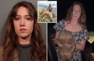 Influenciador que foi criticado por roubar wombat de sua mãe, preso no Wyoming por supostas violações de caça Influenciador que foi criticado por roubar wombat de sua mãe, preso no Wyoming por supostas violações de caça