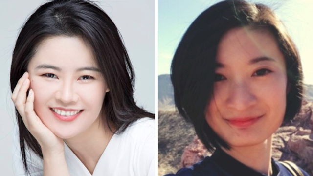 A presidente da Câmara dos Comuns, Lindsay Hoyle, abordou a ameaça diretamente em uma carta aos parlamentares.