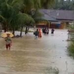 Inundação de Padang Pariaman, BNPB: absorve 183 hectares de terras agrícolas e 608 casas de residentes