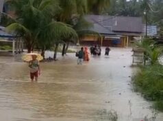 Inundação de Padang Pariaman, BNPB: absorve 183 hectares de terras agrícolas e 608 casas de residentes Inundação de Padang Pariaman, BNPB: absorve 183 hectares de terras agrícolas e 608 casas de residentes